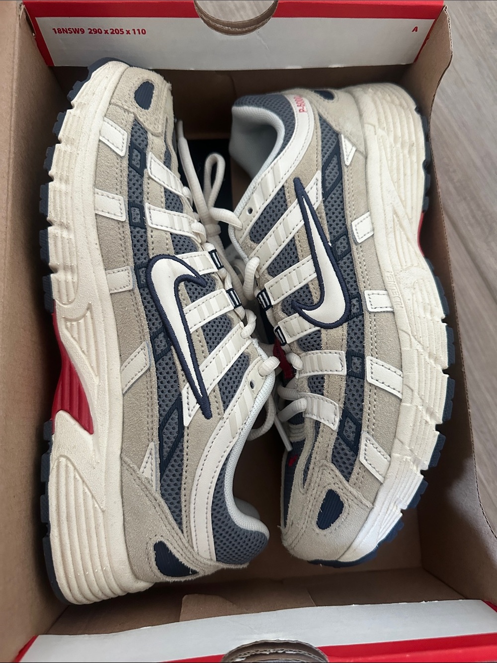 Nike P-6000